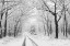 Picture of WINTRY ROAD   