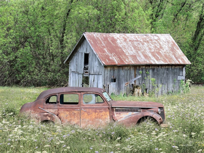 Picture of OLD AND RUSTIC