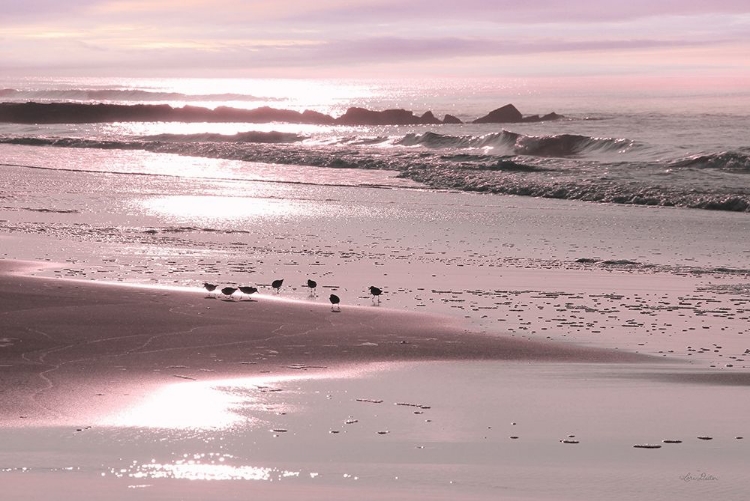 Picture of BREAKFAST ON THE BEACH