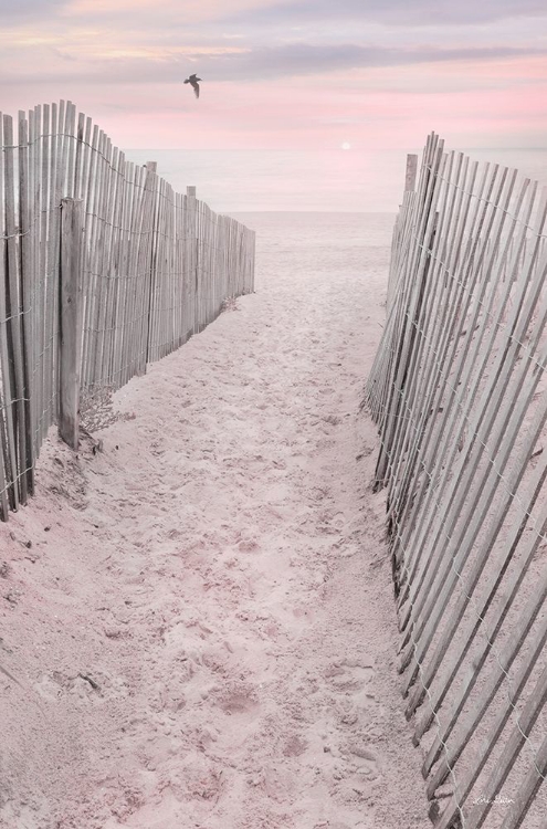 Picture of PINK BEACH SUNRISE