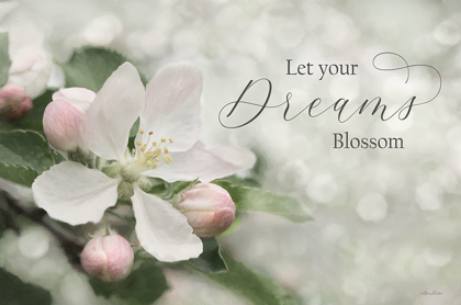 Picture of LET YOUR DREAMS BLOSSOM