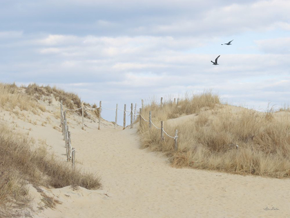 Picture of FENWICK ISLAND