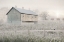 Picture of DEWY COUNTRY MORNING