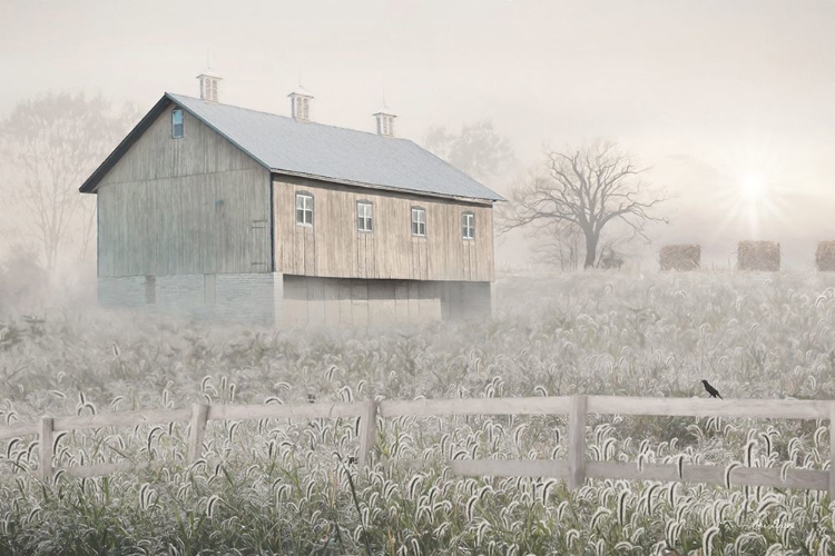 Picture of DEWY COUNTRY MORNING