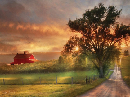Picture of COUNTRY LANE SUNSET   