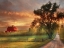 Picture of COUNTRY LANE SUNSET   