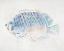Picture of BUTTERFLY REEF FISH 
