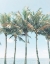 Picture of ISLAND OF PALMS 