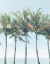 Picture of ISLAND OF PALMS 