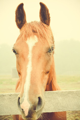 Picture of WILLOW WAY RANCH