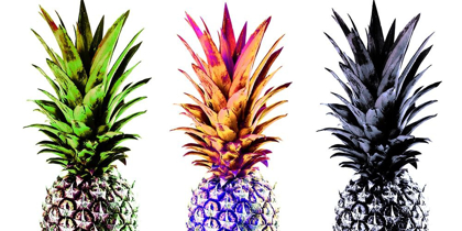 Picture of COLOURFUL PINAPPLES II 
