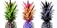 Picture of COLOURFUL PINAPPLES II 