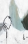 Picture of TIED II