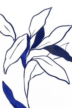 Picture of INDIGO LILLY 