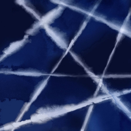 Picture of INDIGO NET II