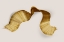 Picture of GOLDEN STROKE 