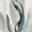 Picture of ARIA II