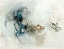 Picture of INTO THE WILD
