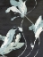 Picture of BLUE FLORA I 