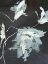 Picture of BLUE FLORA II
