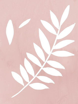 Picture of BLUSH FERN