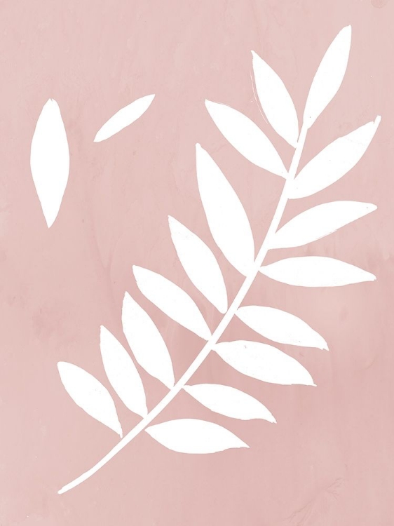 Picture of BLUSH FERN