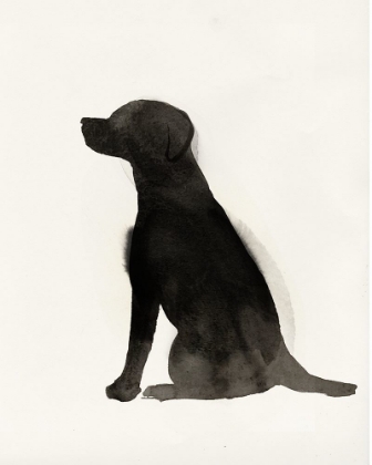 Picture of BLACK DOG