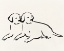 Picture of TWO DOGS 