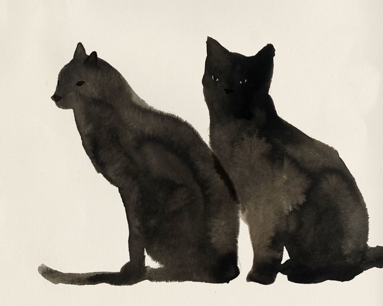 Picture of TWO BLACK CATS 