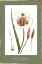 Picture of GREEN BOTANICS IV