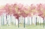 Picture of BLUSH VISIONS