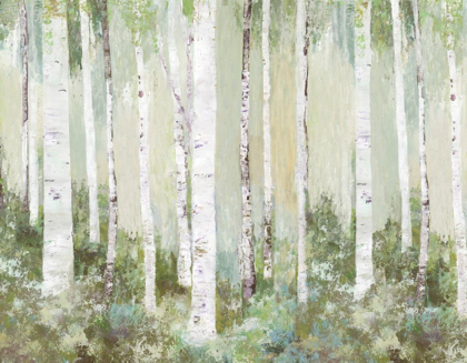 Picture of TRANQUIL FOREST