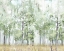 Picture of INTO THE FOREST LIGHT