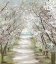 Picture of BLOSSOM PATHWAY