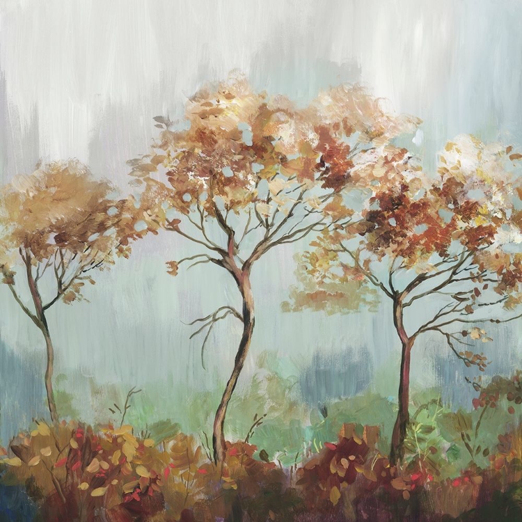 Picture of ORANGE STILLNESS 