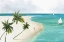 Picture of PRESTINE BEACH 