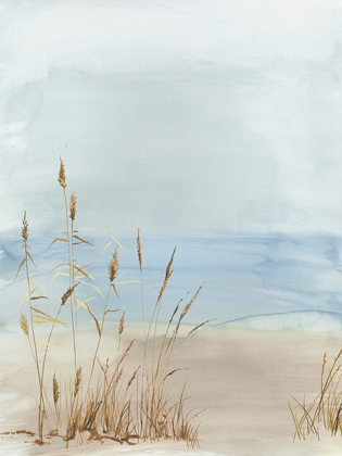 Picture of SOFT BEACH GRASS II