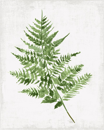 Picture of FERN PRESSING II