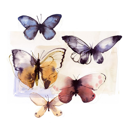 Picture of BUTTERFLY FLY AWAY III 