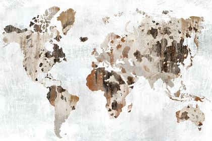 Picture of COWHIDE MAP