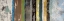 Picture of LINES OF DISTINCTION III