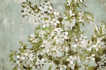 Picture of MINT BLOSSOM