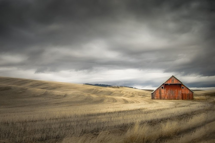 Picture of OLD BARN IN THE WINTER FIELD