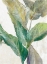 Picture of TROPICAL GREENARY I