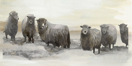 Picture of WINTER SHEEPS II