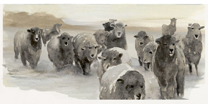 Picture of WINTER SHEEPS II 