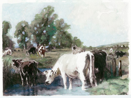 Picture of GRAZING COWS 