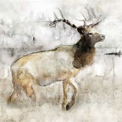 Picture of MOUNTAIN ELK I