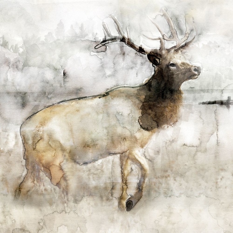 Picture of MOUNTAIN ELK I
