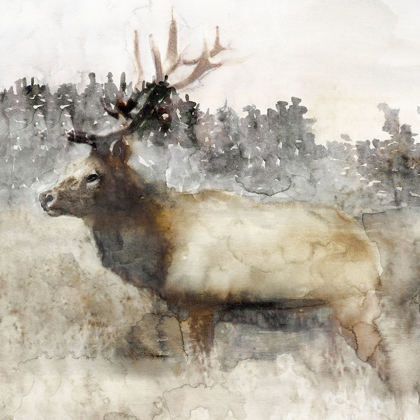 Picture of MOUNTAIN ELK II